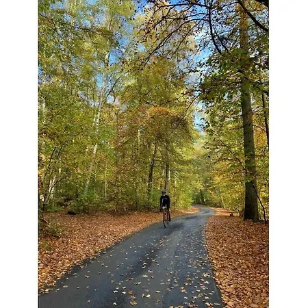 펜션 Am Schilfweg Comfortable 바린