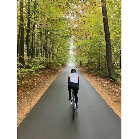 펜션 Am Schilfweg Comfortable