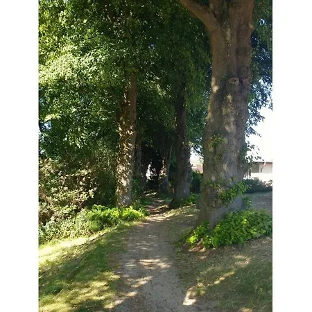 Am Schilfweg Comfortable * 바린