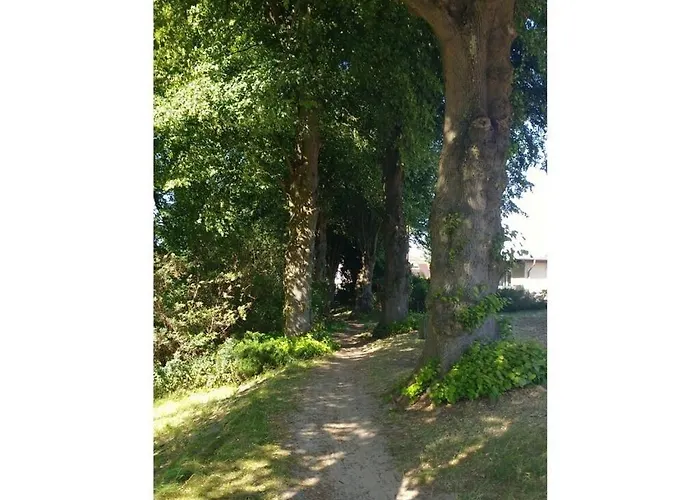 Am Schilfweg Comfortable * Warin